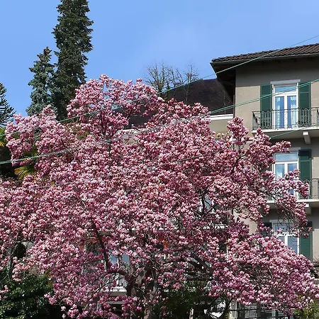 One-bedroom 1 Locarno